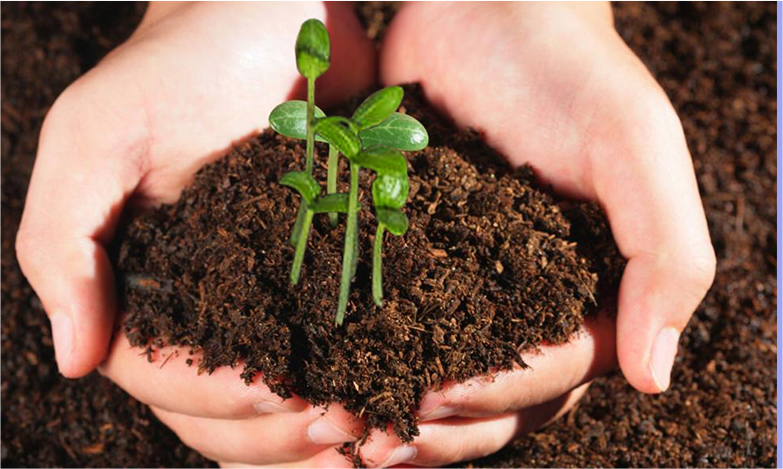 环亚集团·AG88(中国游)官方旗舰网站